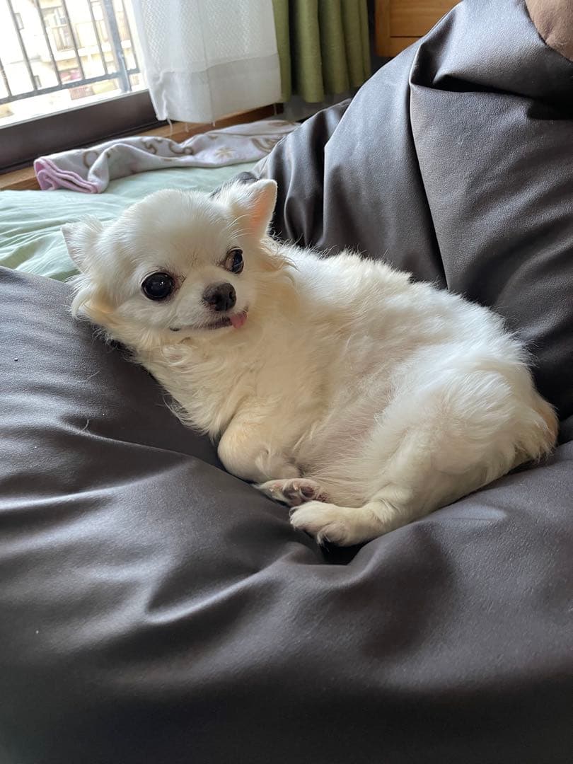 画像確認用　左半身