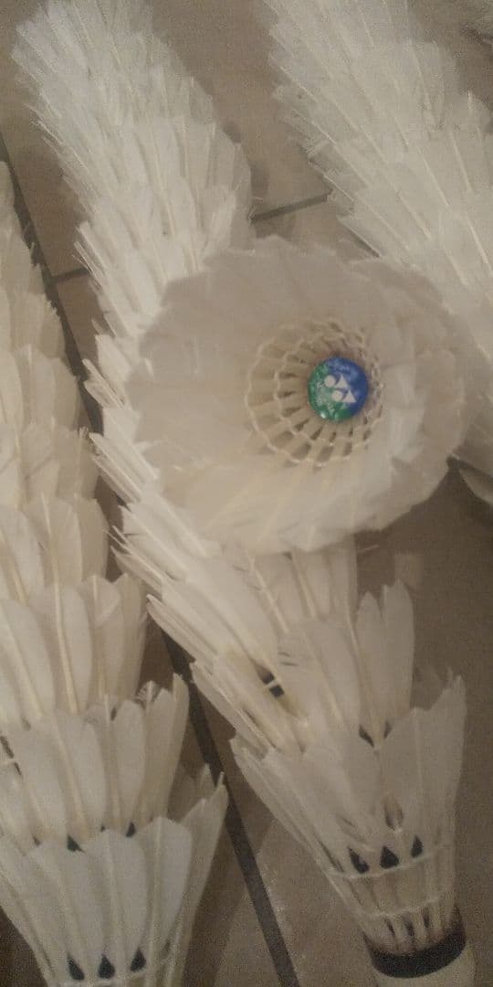 中古バドミントンシャトル 10ダース(120球)