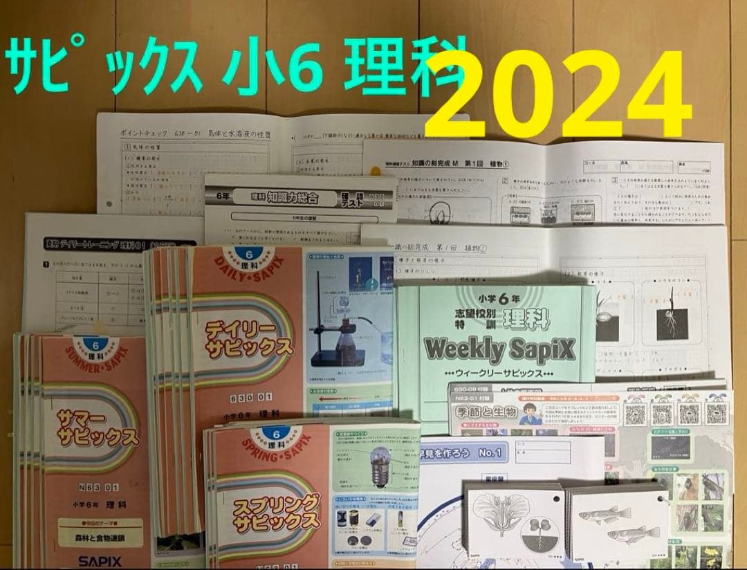 小6 理科 デイリーサピックス 24回分+春期講習•夏期講習 ウィークリーサピ他
