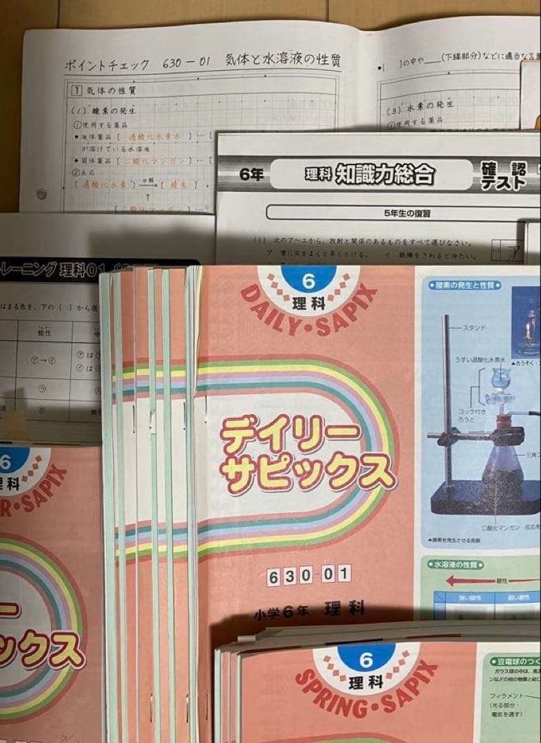 小6 理科 デイリーサピックス 24回分+春期講習•夏期講習 ウィークリーサピ他