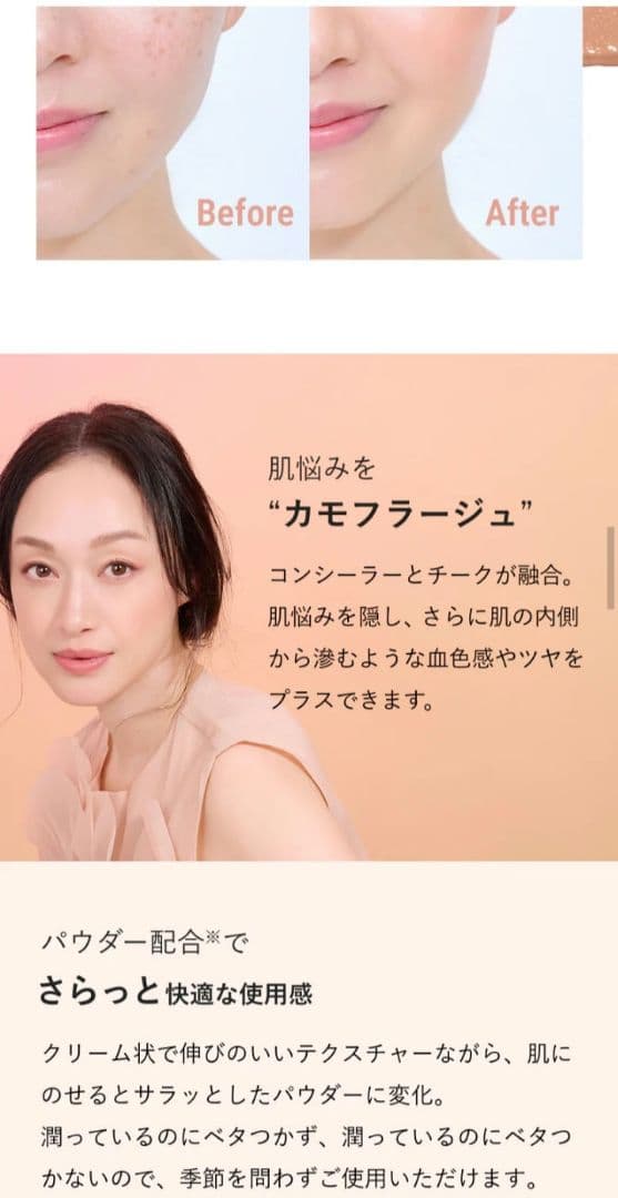 ブリリアージュ カモフラージュコンシーラーチーク 04 ＆ワイドフィンガーブラシ