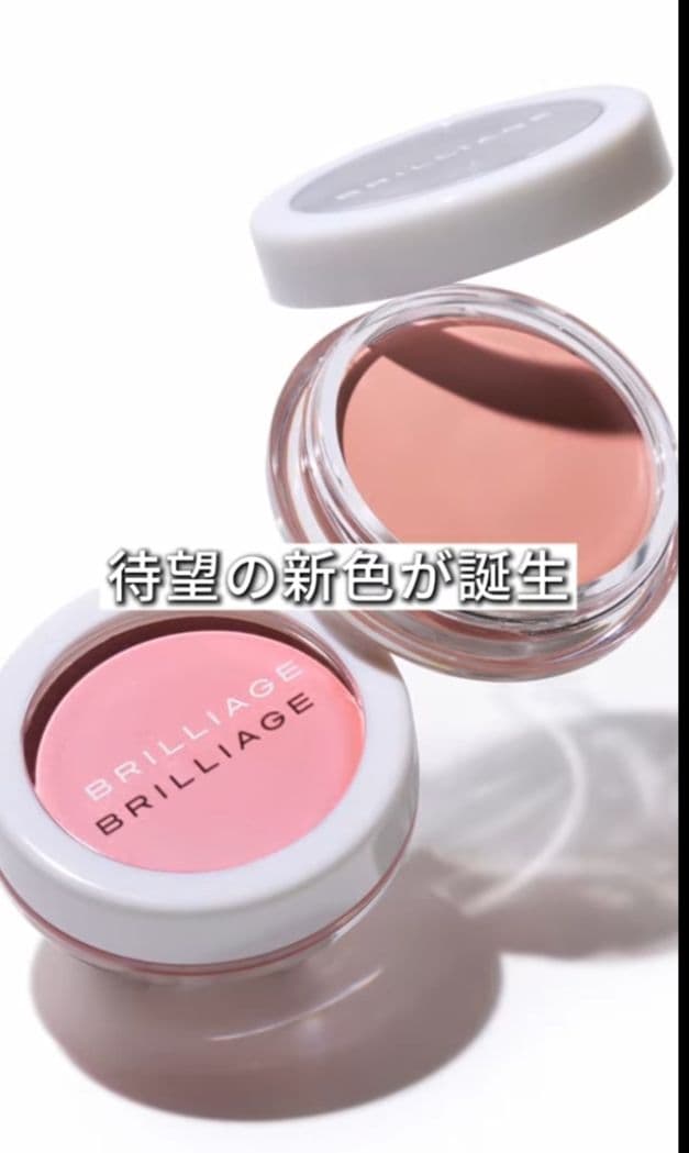ブリリアージュ カモフラージュコンシーラーチーク 04 ＆ワイドフィンガーブラシ