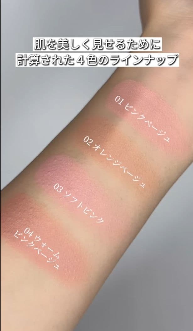 ブリリアージュ カモフラージュコンシーラーチーク 04 ＆ワイドフィンガーブラシ