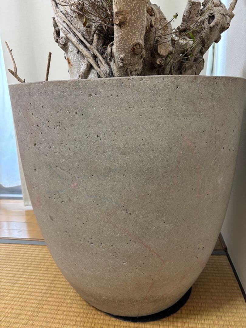 【チイママ】12/14まで限定　SOLSO  ソルソホーム