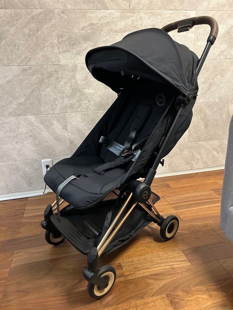 サイベックス　コヤ本体