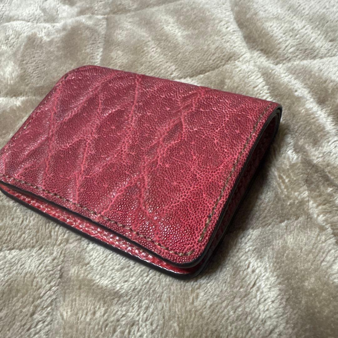 WILDSWANS kf-003 エレファント　ワイルドスワンズ