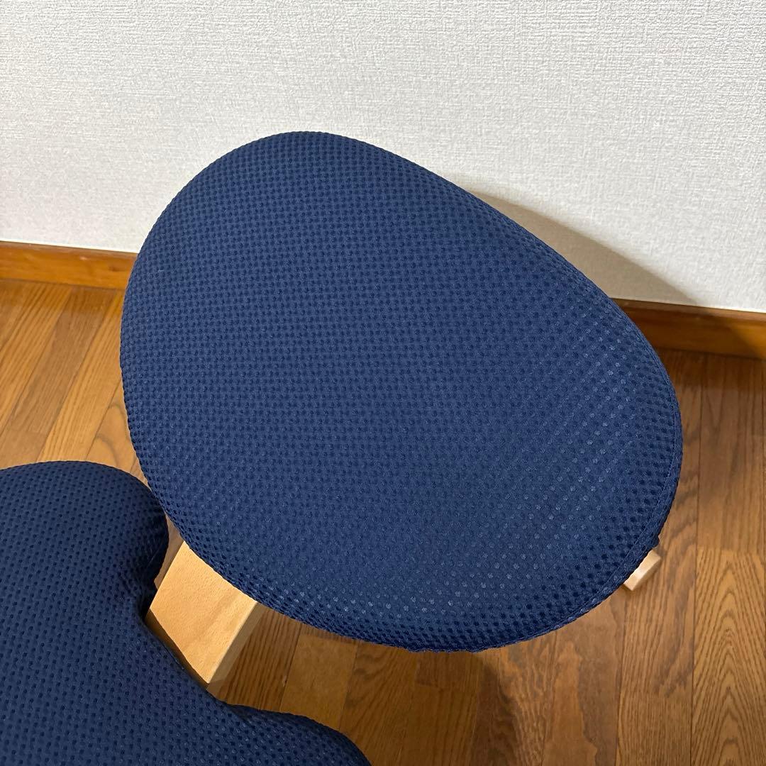 【極美品】balans Easy バランスイージー 通常フレーム オプション付き