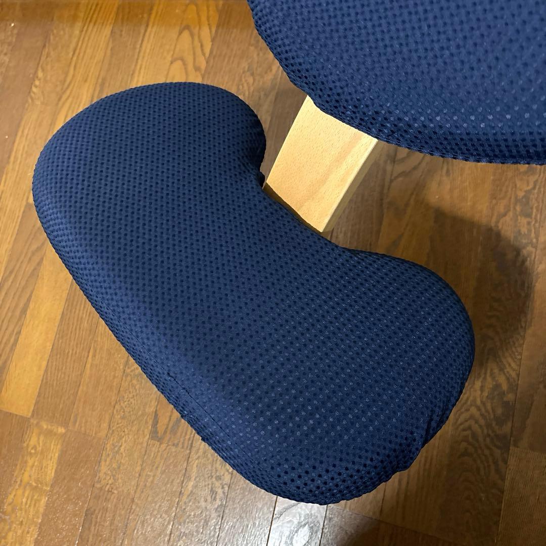 【極美品】balans Easy バランスイージー 通常フレーム オプション付き