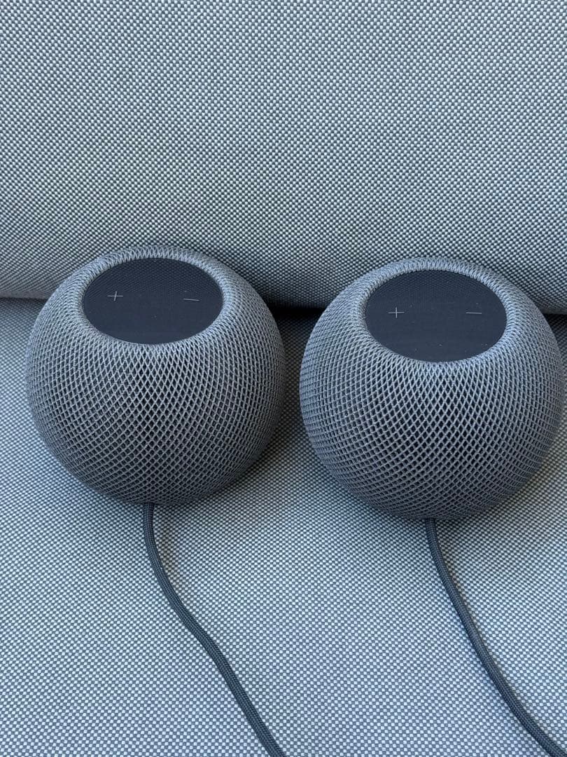 Apple Pod mini 2個セット（黒）