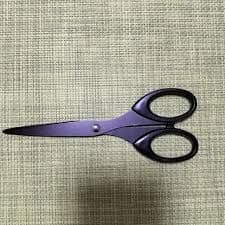 ハサミ　ダイド