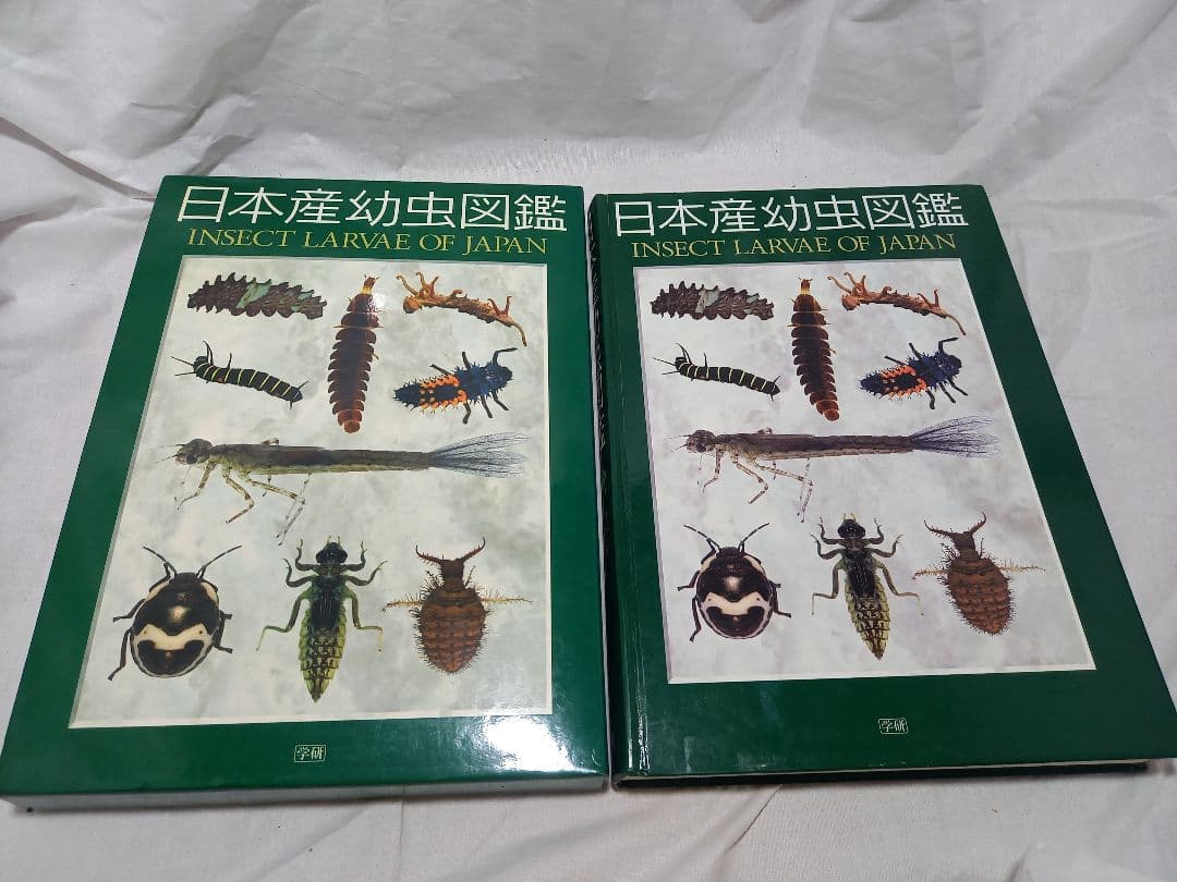L*n様 日本産幼虫図鑑