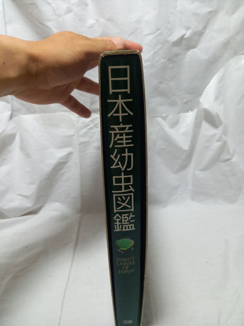 L*n様 日本産幼虫図鑑