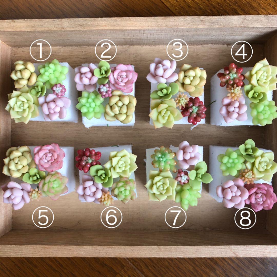 フェイク　多肉植物