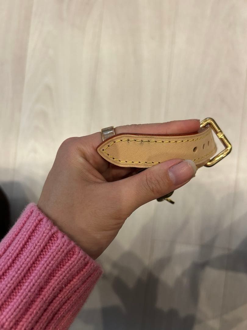 ぐーさん専用 LouisVuitton 犬用首輪 ドッグカラーMM