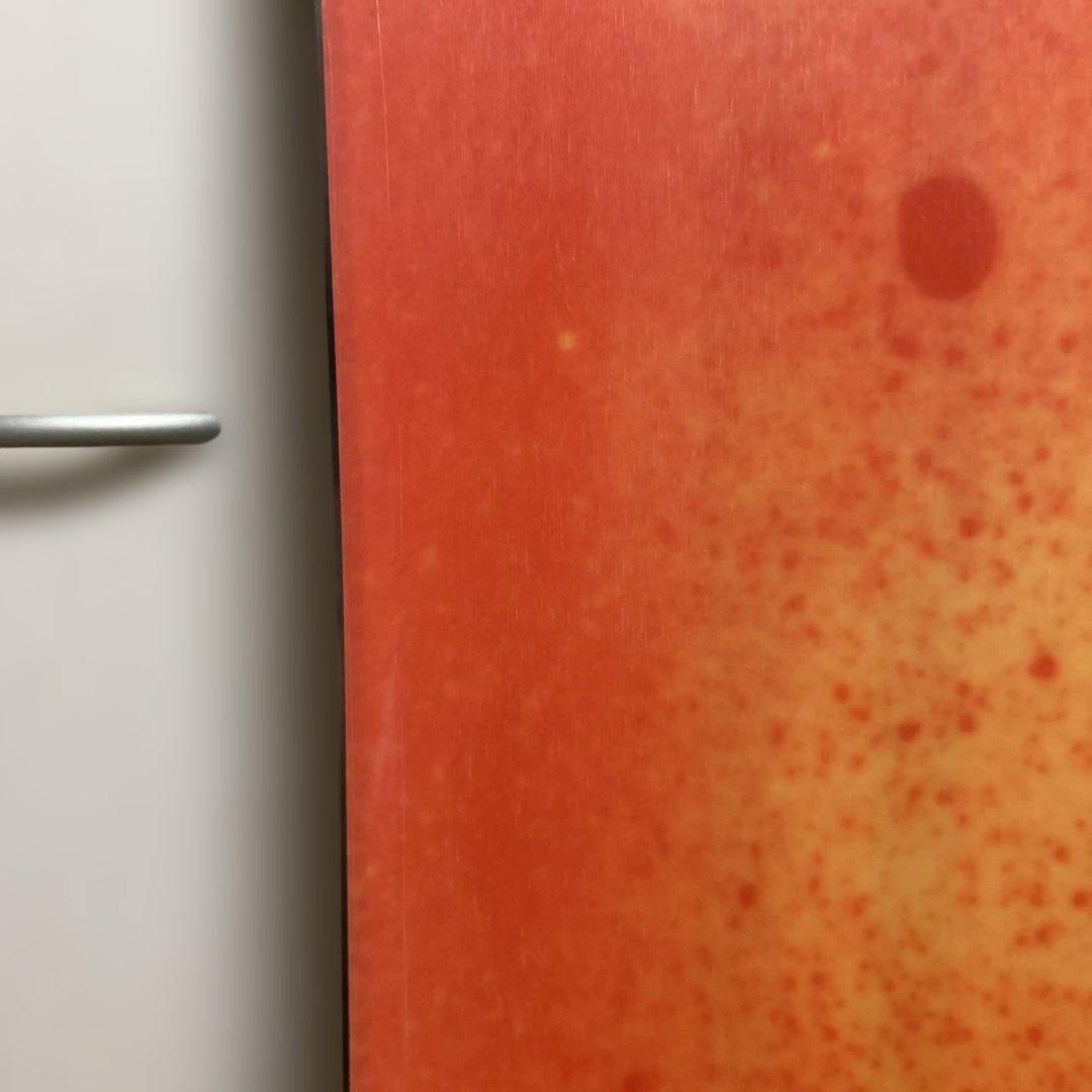 スノーボード NITRO QUIVER BRYANFOX FUSION154