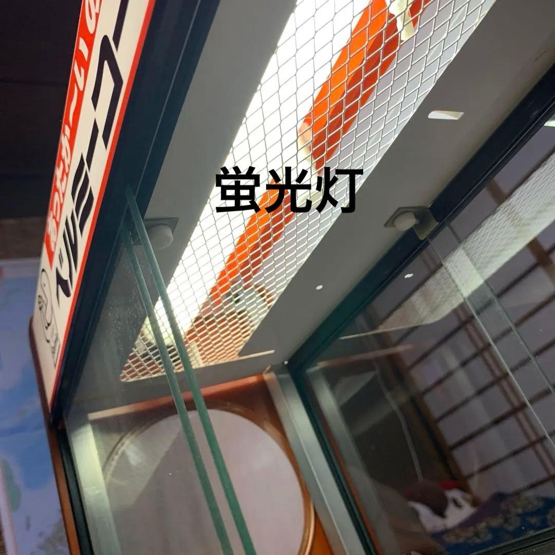 Belmic ベルミーコーヒー 中型保温ケース