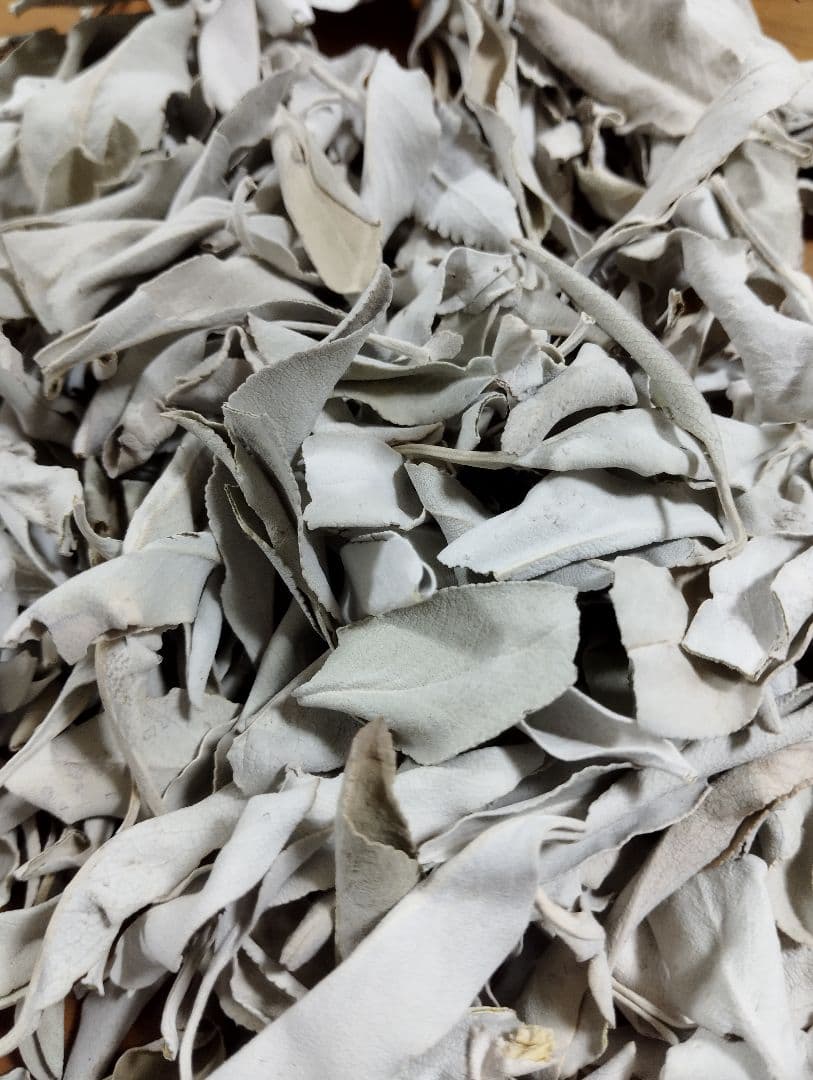 業務用価額タイムセール☆無農薬ホワイトセージ枝無しリーフ1KG浄化お香