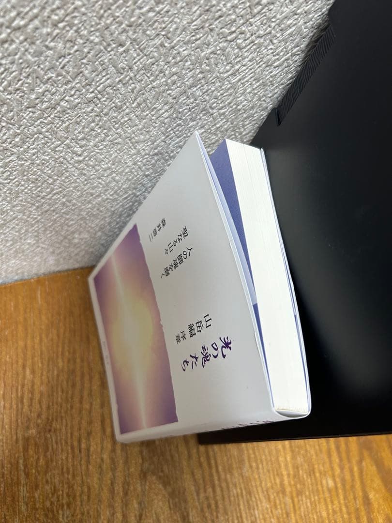 光の魂たち 山岳編 序章 人の御魂を磨く聖なる山々　中古書籍