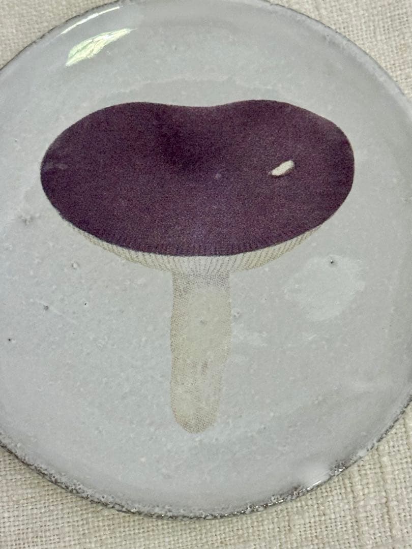 ASTIER de VILLATTE John Derian キノコプレート