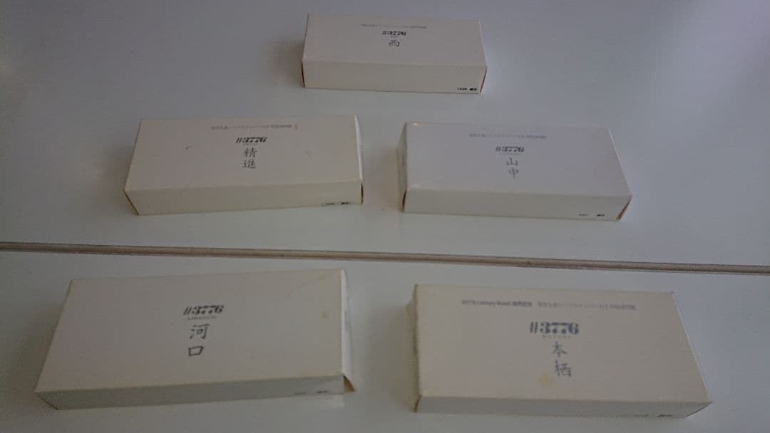 プラチナ万年筆3776富士五湖シリーズセット