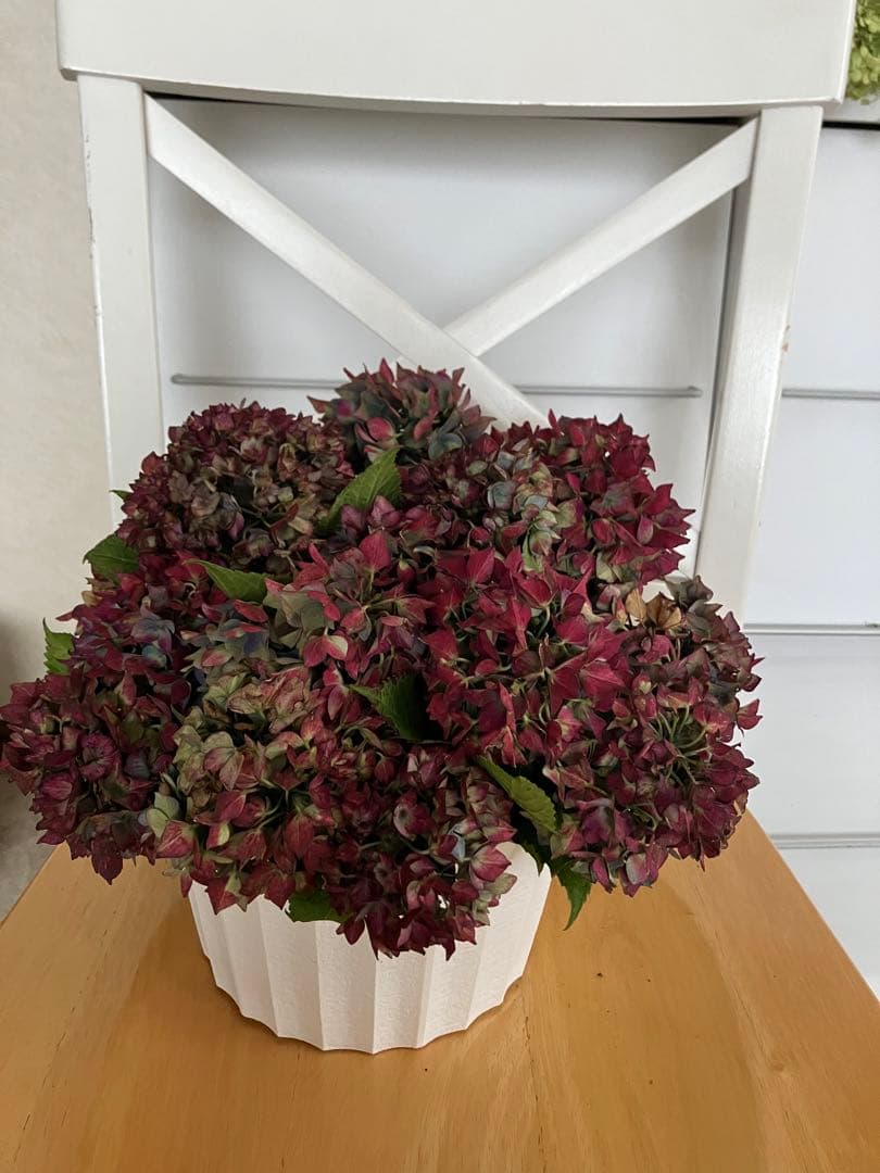 赤い実のドライフラワー枝物 約100cm2本　短かめ3本