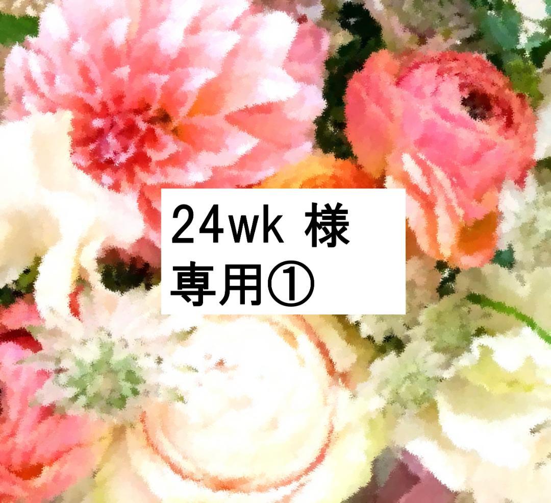 【24wk ①】未開封未使用多数 2024年最新版フルセット DWE
