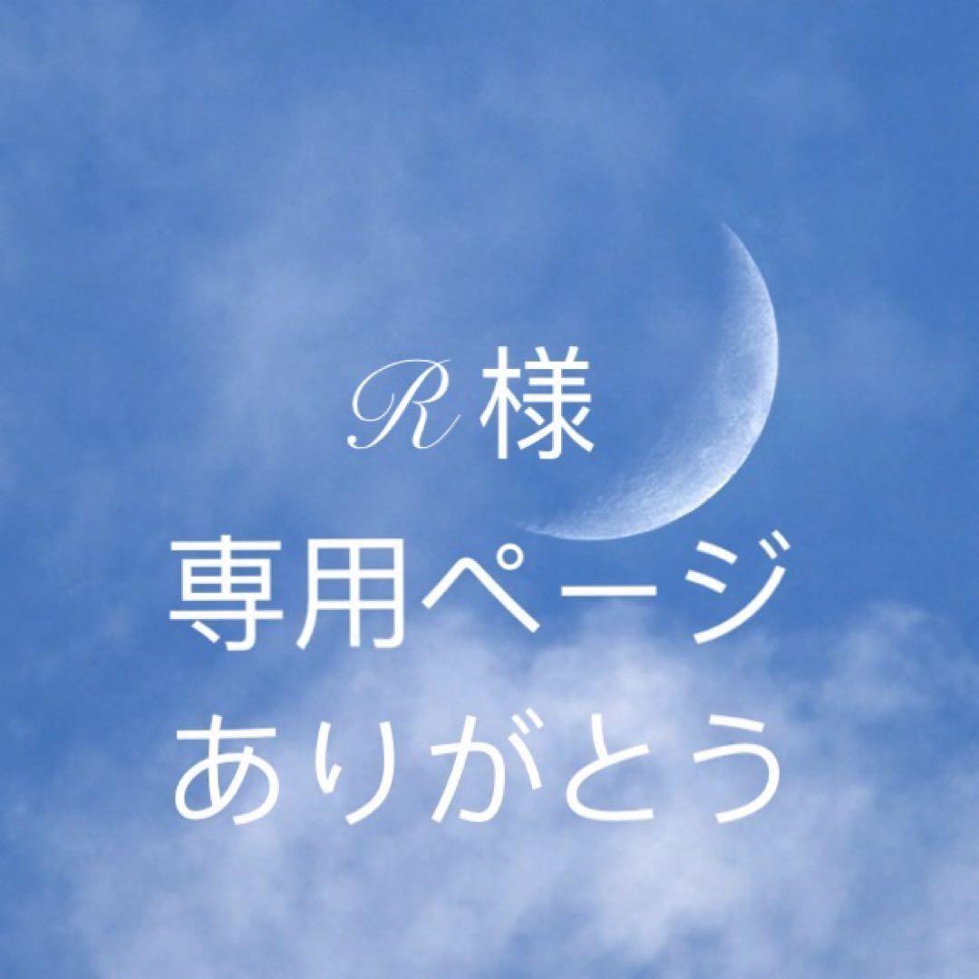 Rページ　F80