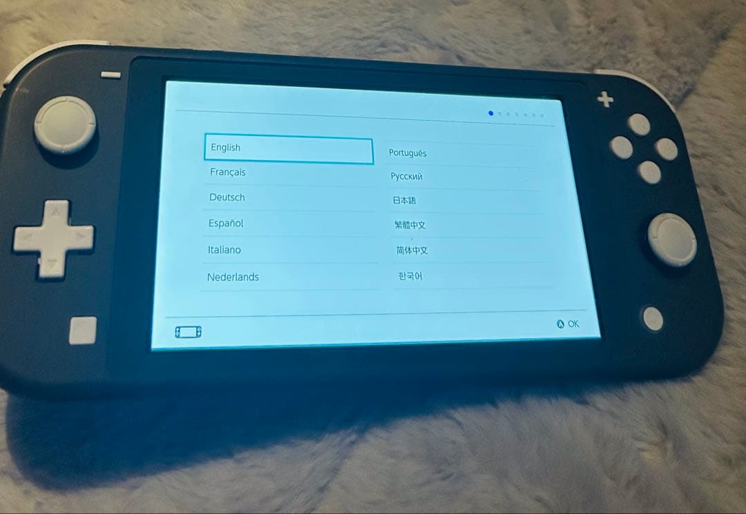 Nintendo Switch Lite(グレイ)