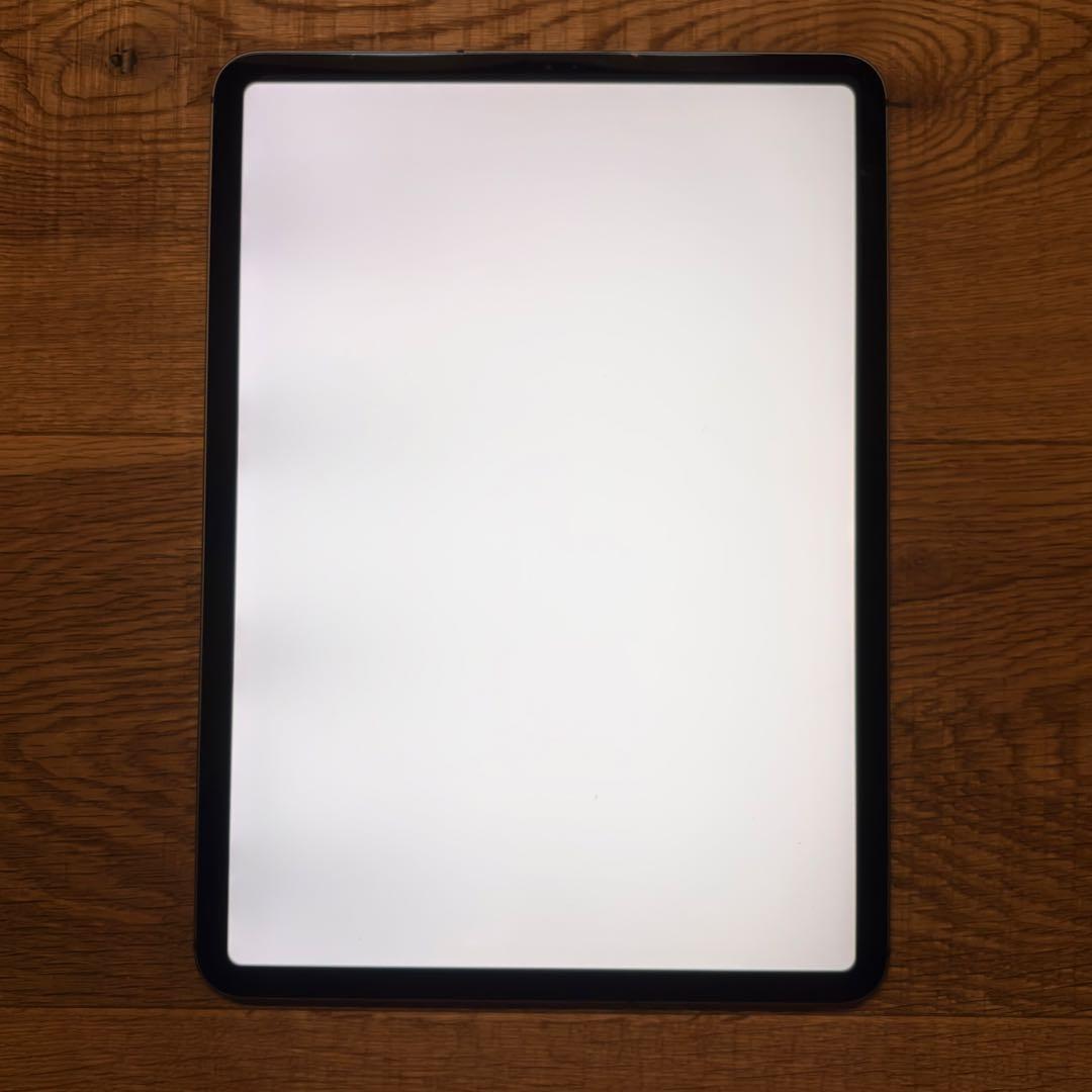 iPad Pro 11インチ (第2世代) 256GB