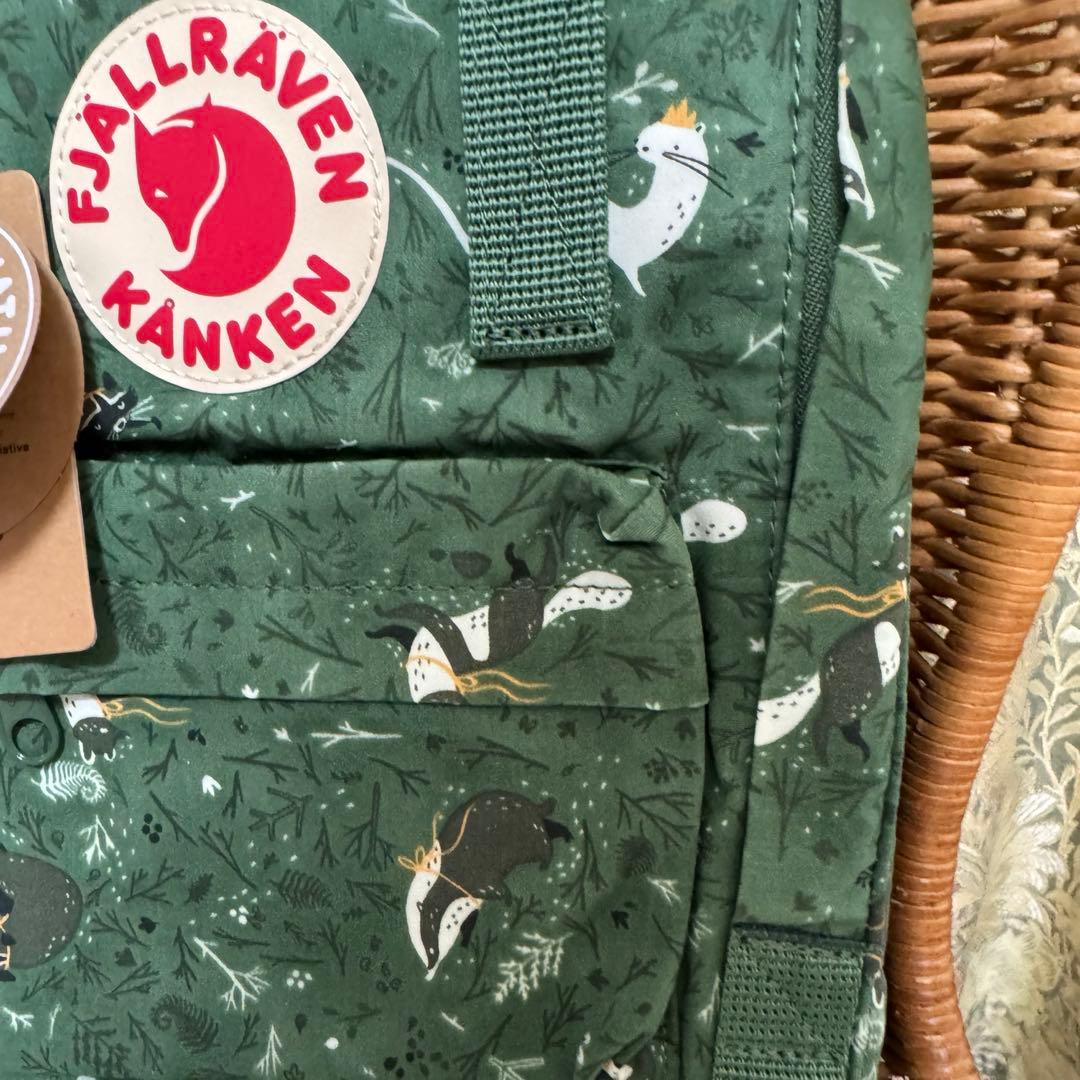 期間限定sale❣️【FJALL RAVEN】kanken Art Mini