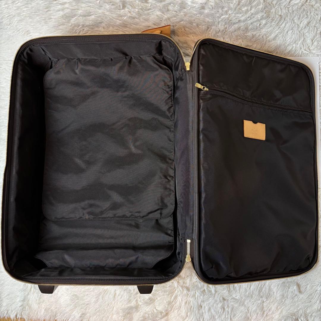 (鑑定済) ルイヴィトン モノグラム ペガス55 キャリーケース