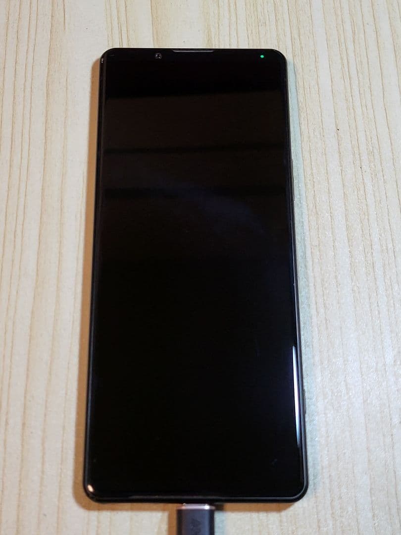 ジャンク docomo Xperia5iv 本体