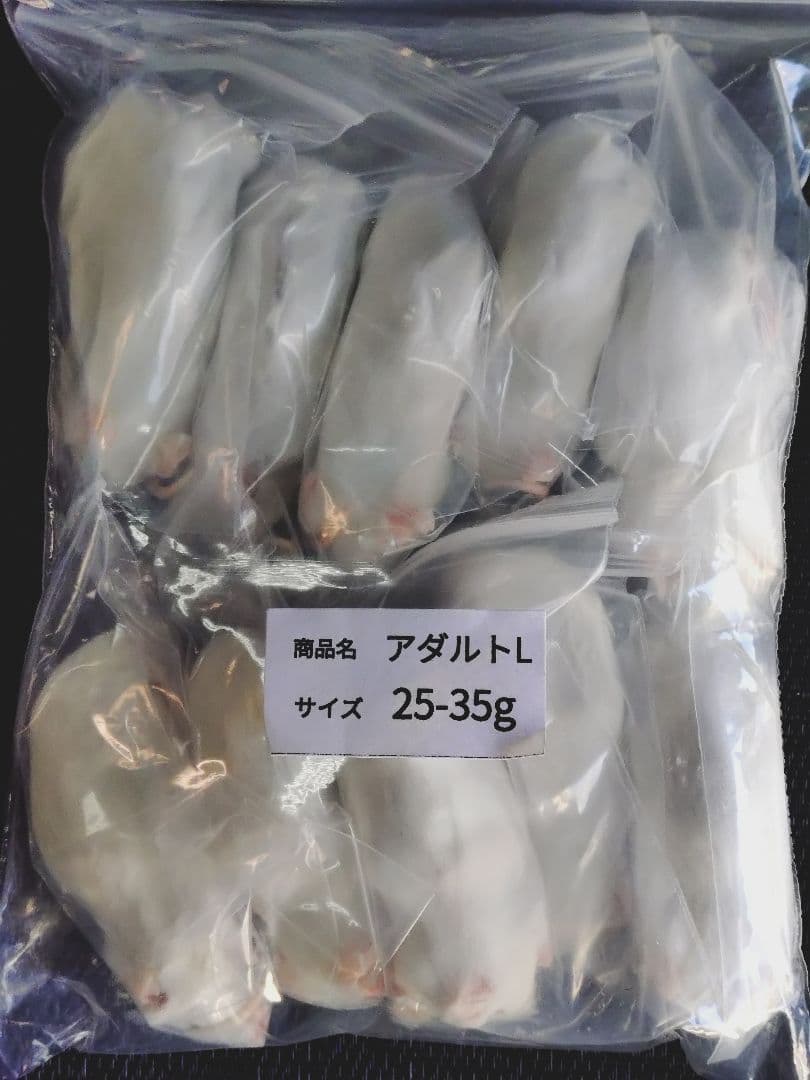 ユー　送料無料 アダルトＬ30匹、ピンクＬ20匹 、ファジー20匹