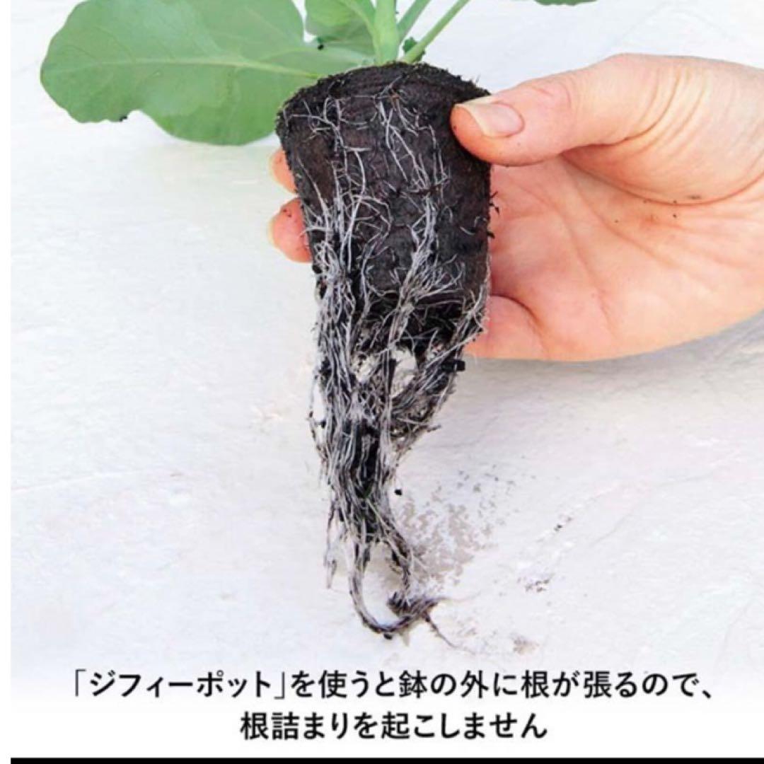 ジフィーポット丸型 8cm 約1400個入 スリット入り#130そのまま植えれる