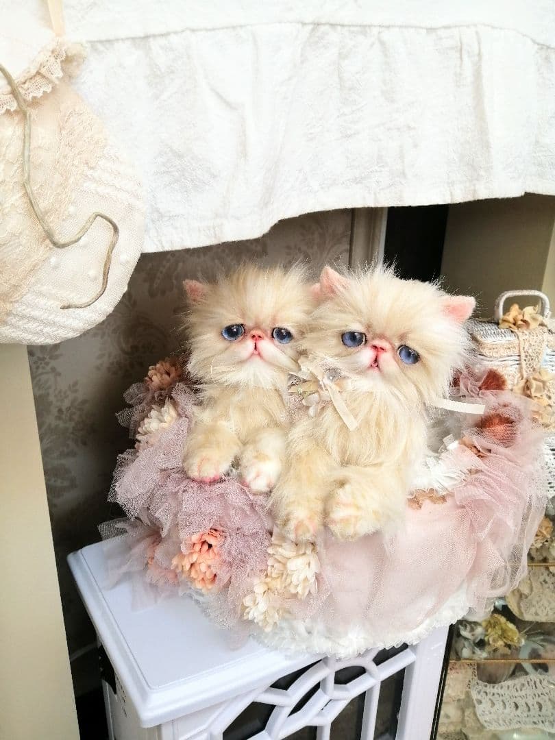 お花のバスケットと双子の子猫ちゃん♡エキゾチック♡アートドール♡ぬいぐるみ♡