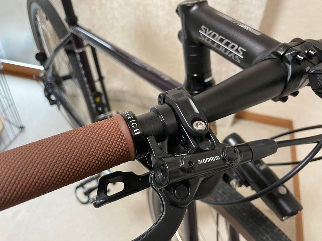 【ガニ】ラレー　Raleigh RFF-N 【現地引渡し希望】