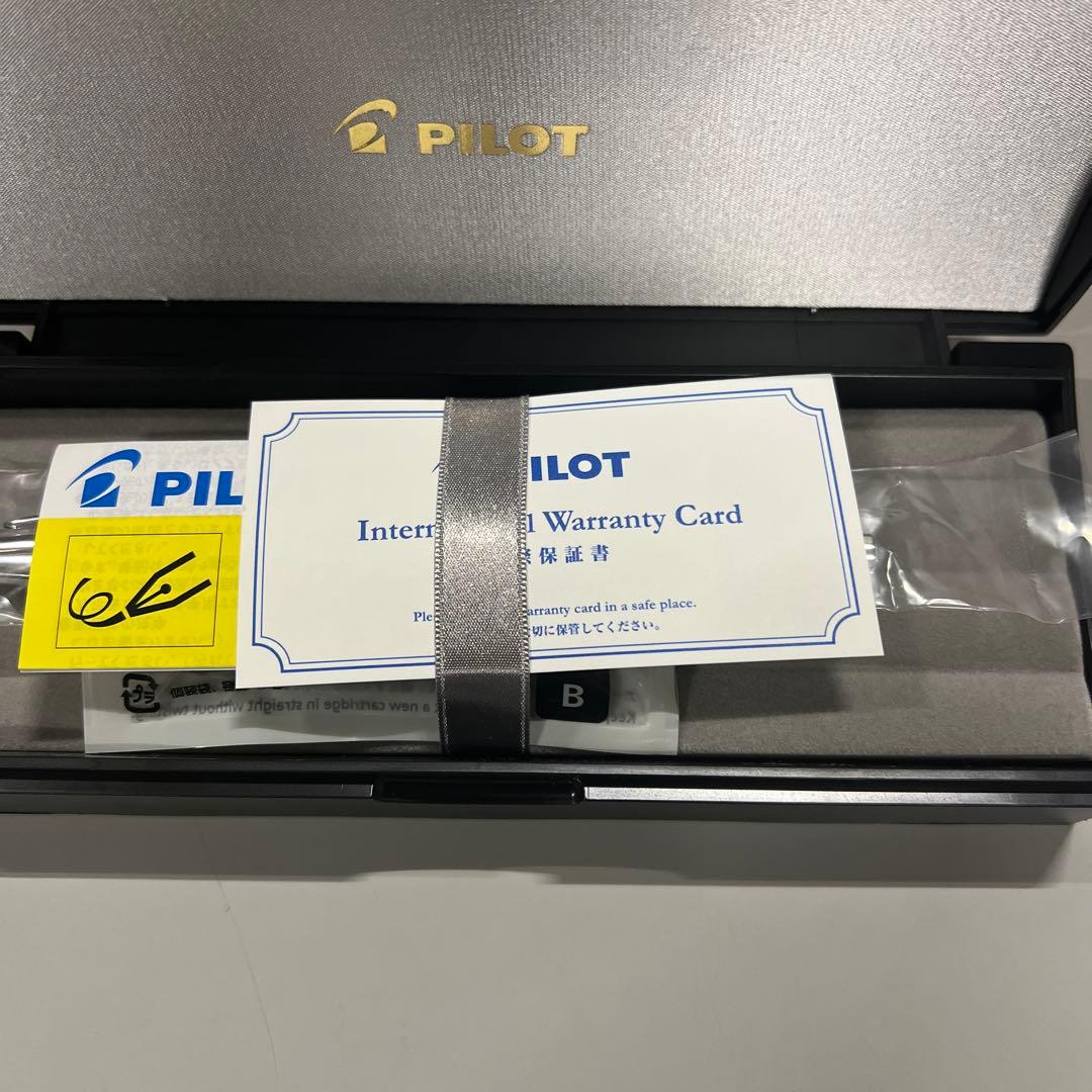 PILOT 万年筆 キャップレスSE MAG F マーブルグリーン