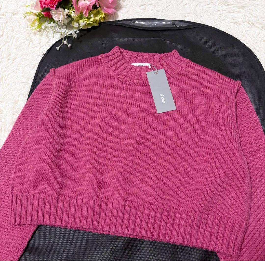 【新品タグ付き✨】sheller inside out sweater ピンク