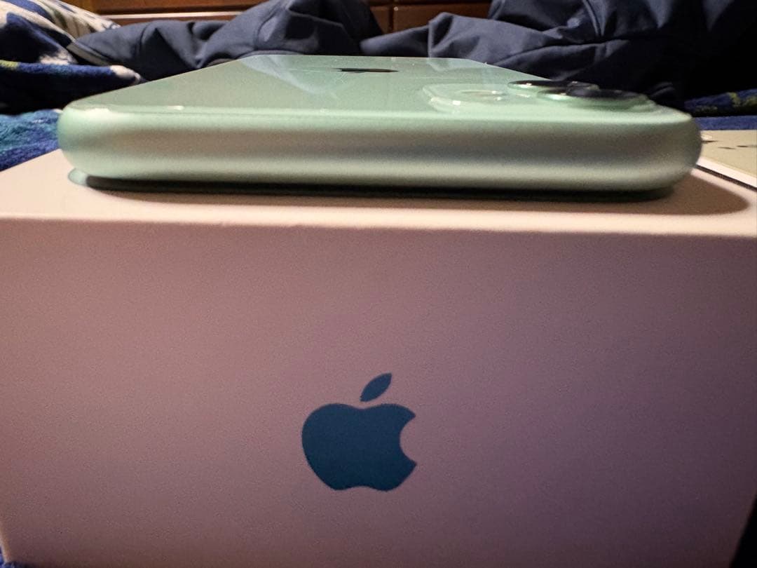 ま*さ様 【美品】iPhone11 256GB ミントグリーン 動作確認済み 初