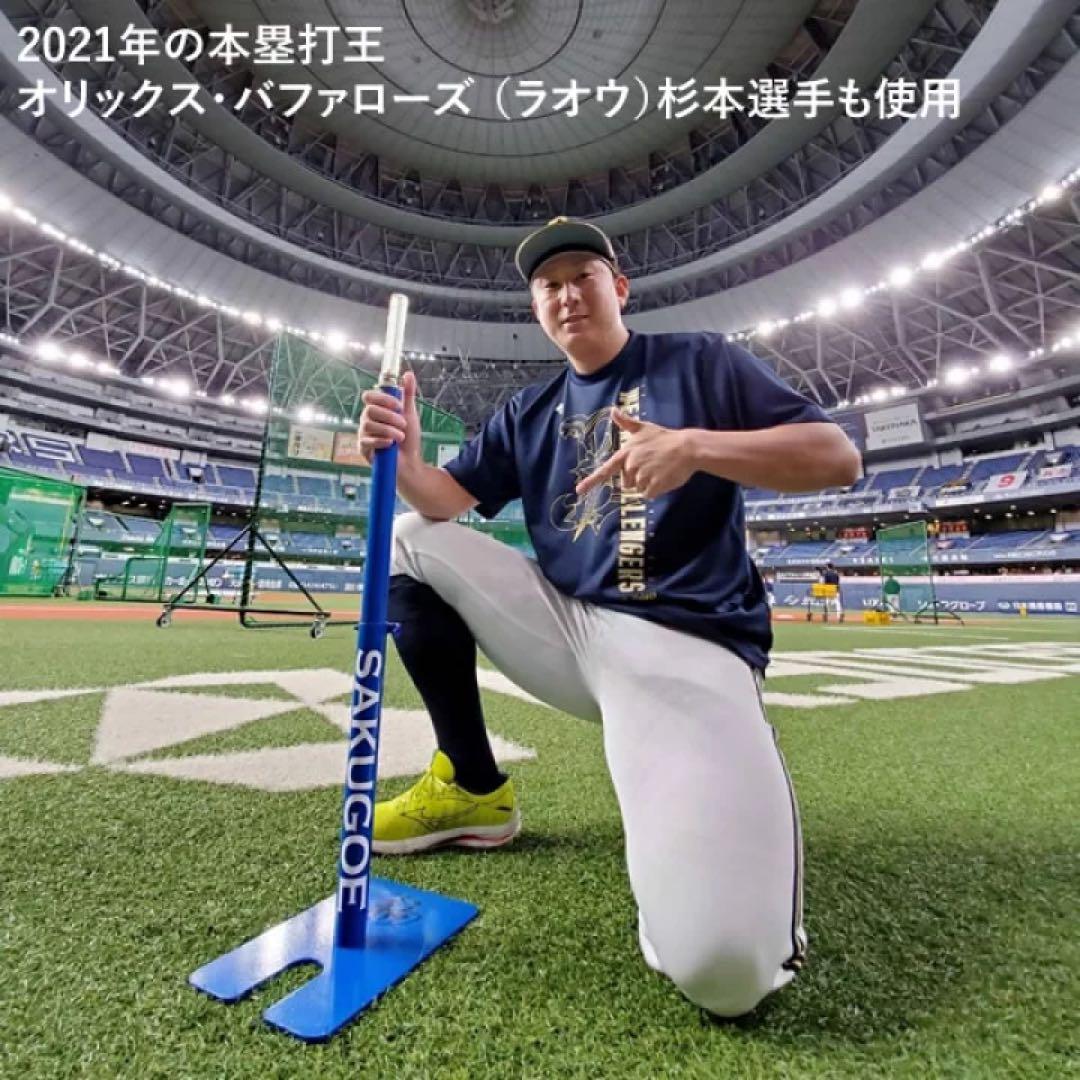 SAKUGOE サクゴエ　バッティングティー