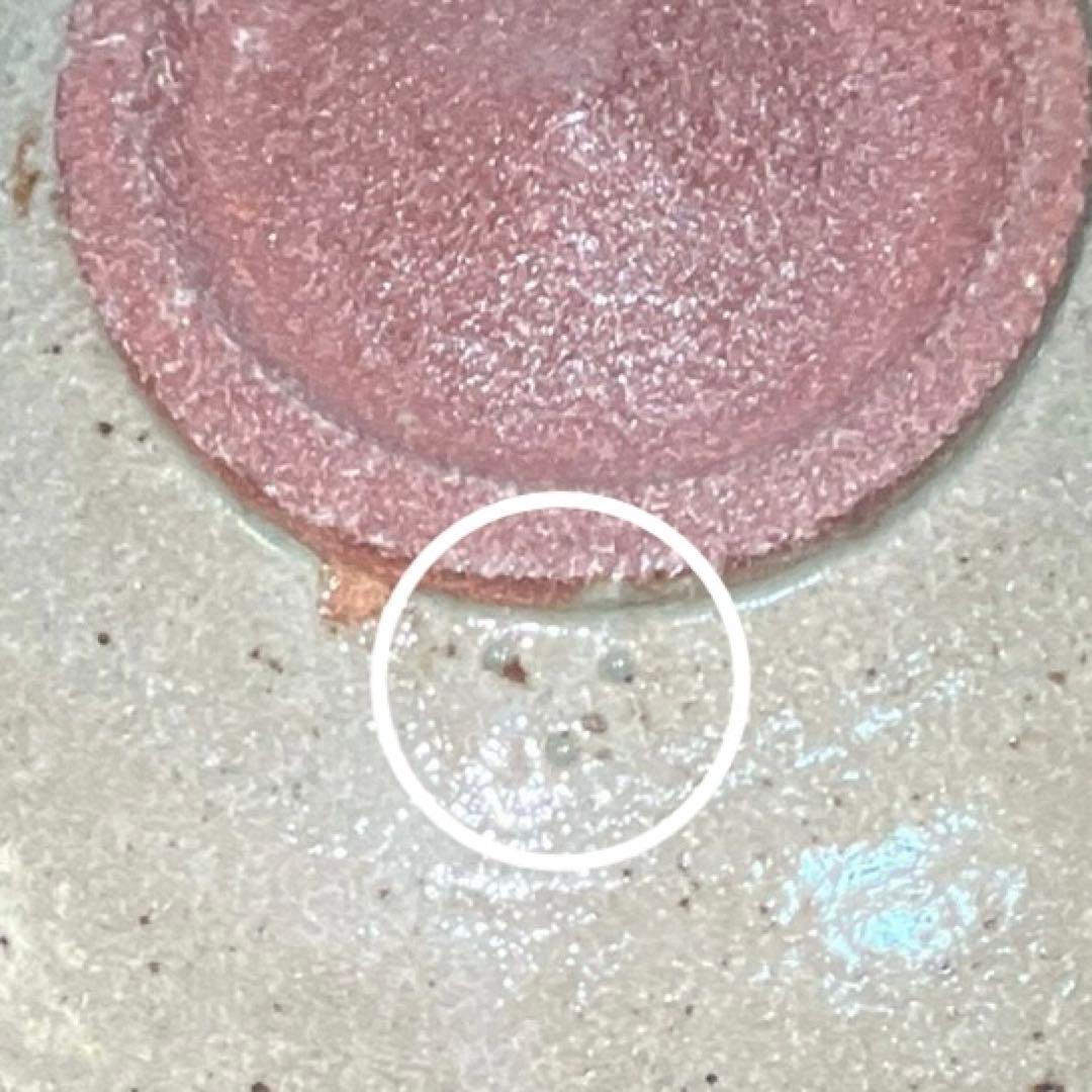 十三代 中里太郎右衛門陶房 絵唐津 皿 22cm 共箱 栞付 唐津焼