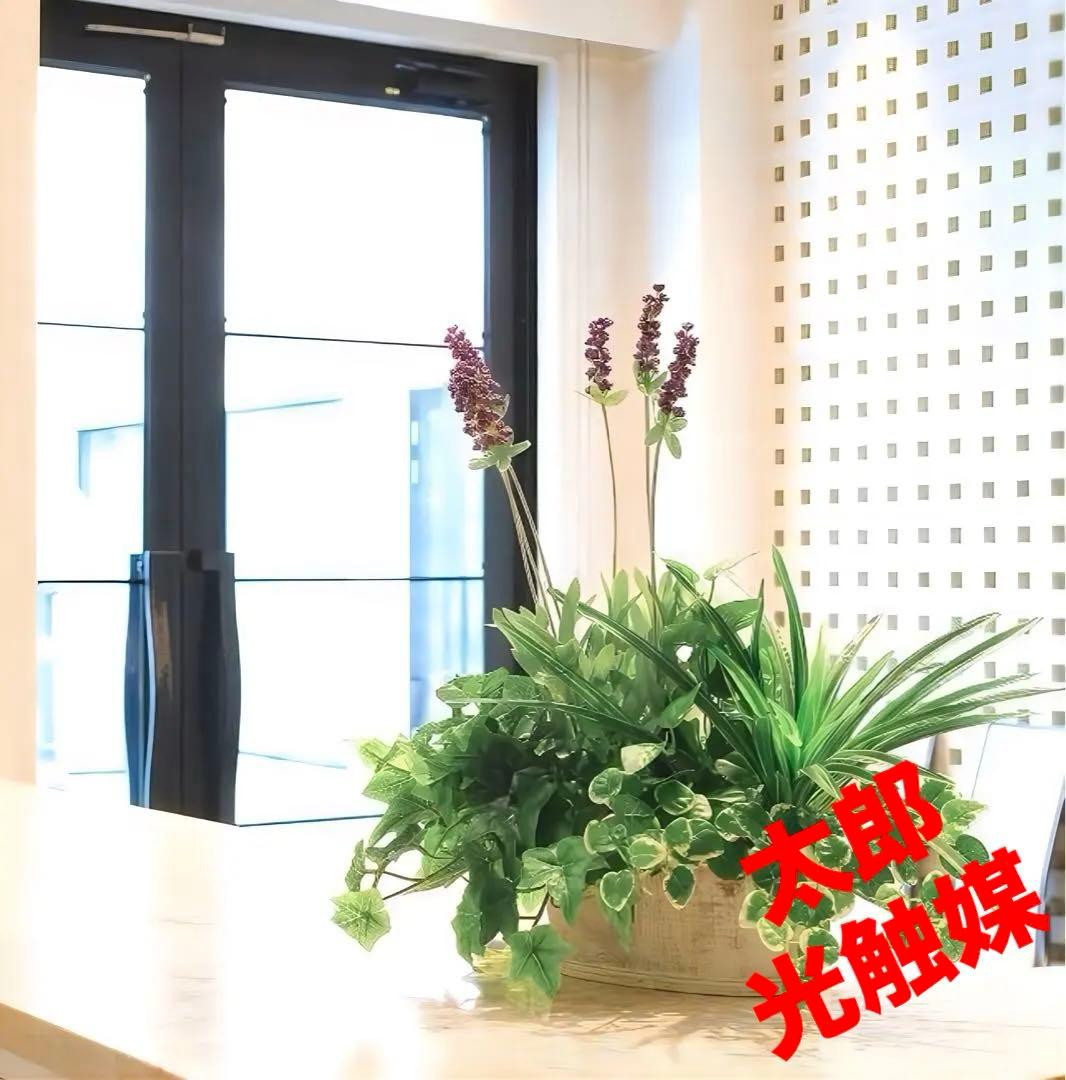 光触媒　人工観葉植物　ウォールグリーン　フェイクグリーン　寄せ植えラベンダー