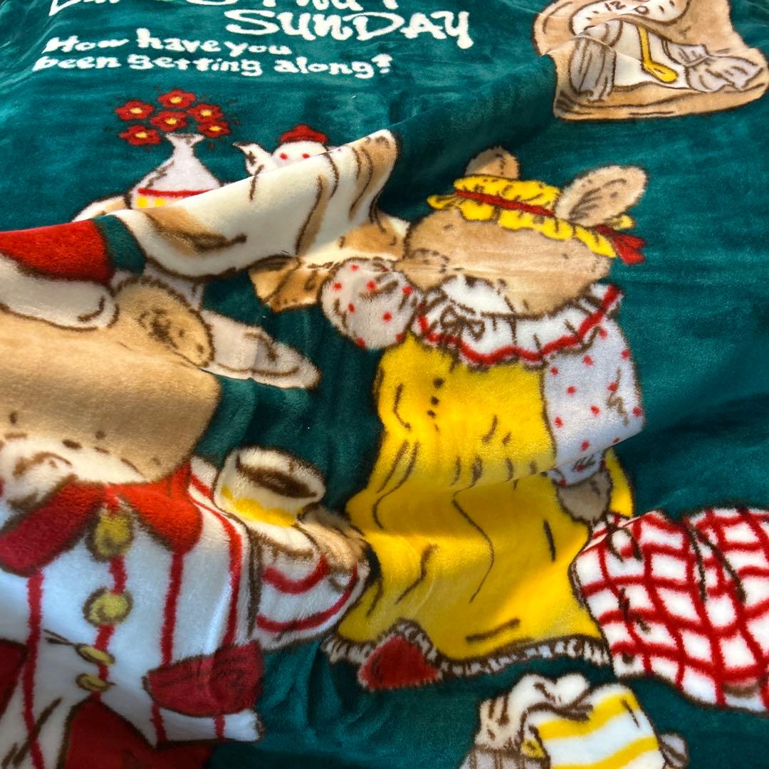 PEONY ＊二枚合わせ毛布・アクリル毛布・ブランケット・昭和レトロ・ポップ