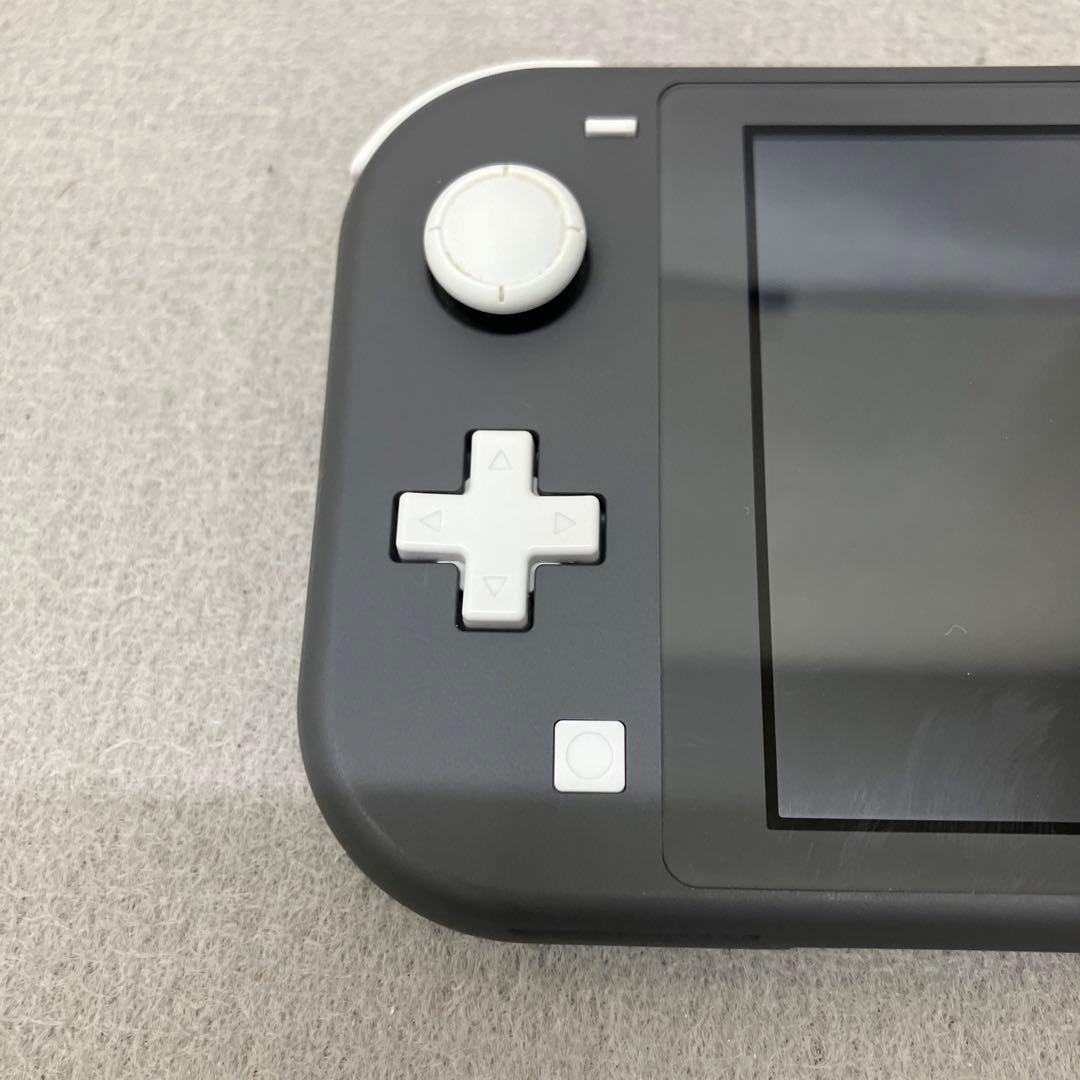 GD6119 Nintendo Switch Lite グレー