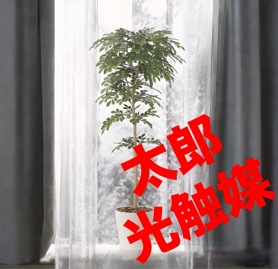 光触媒　人工観葉植物　ウォールグリーン　フェイクグリーン　トネリコ1.3