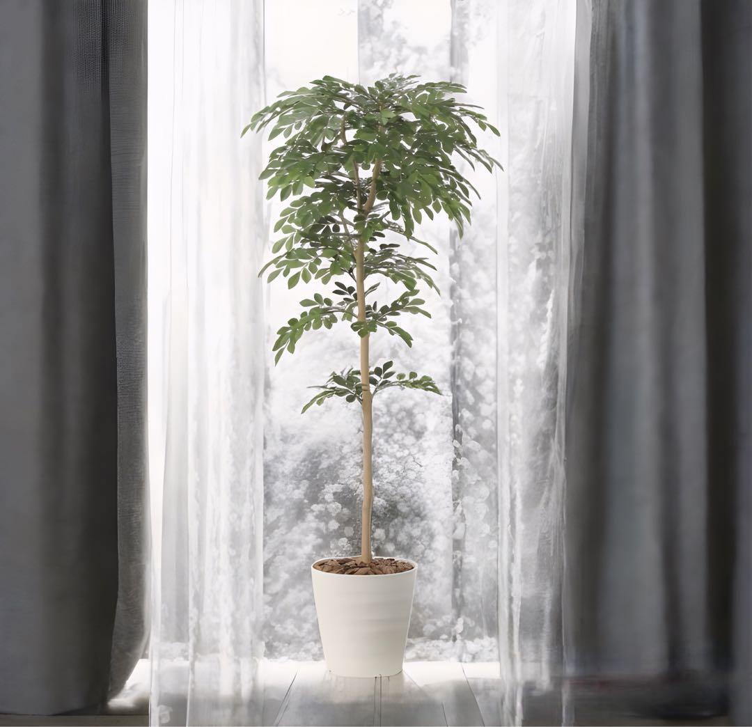 光触媒　人工観葉植物　ウォールグリーン　フェイクグリーン　トネリコ1.3