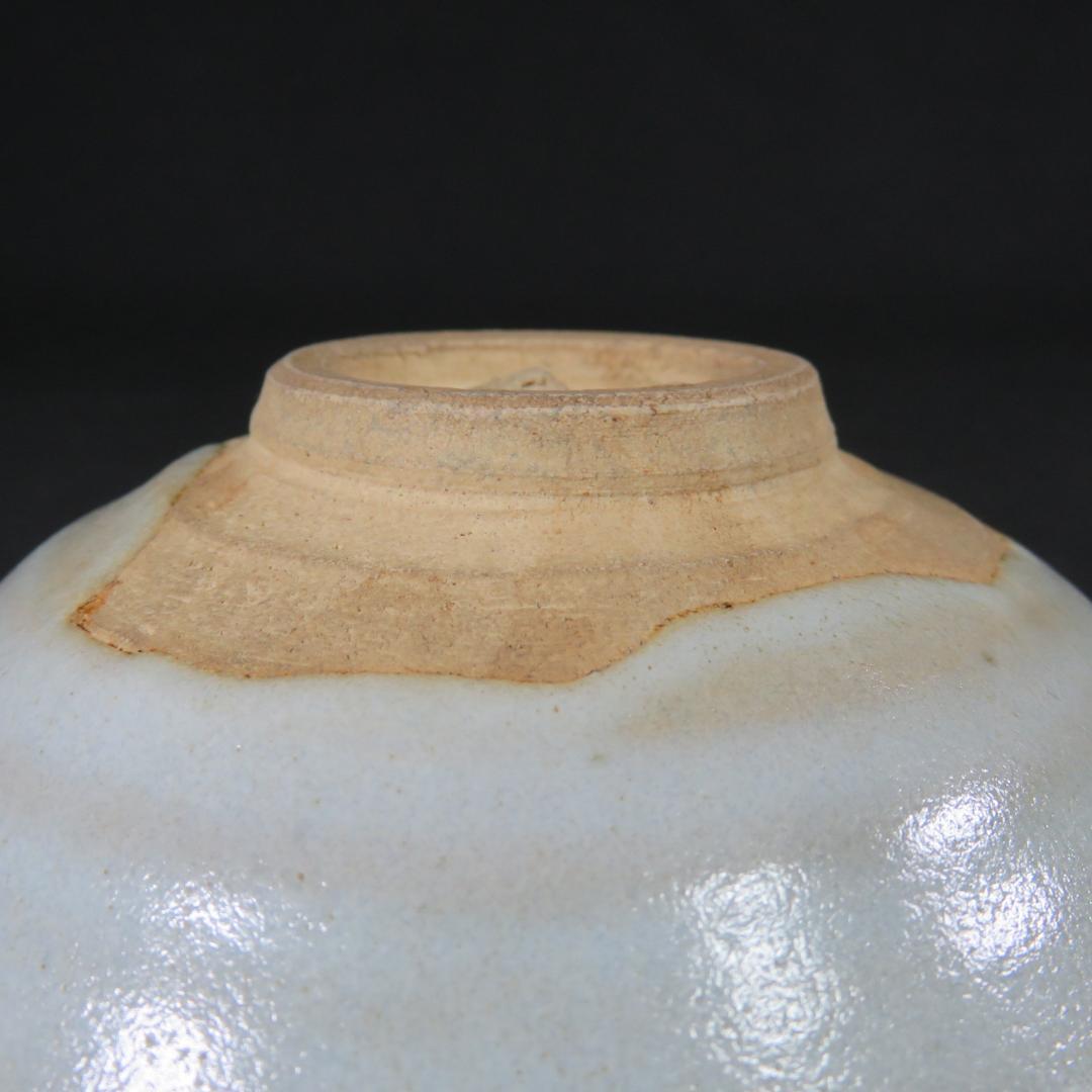 茶碗 木箱 共箱 善 在銘 平茶碗 抹茶碗 茶器 茶道具 茶の湯