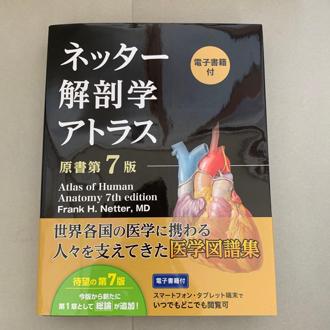 ネッター解剖学アトラス　原書　第7版　ネッター　南江堂