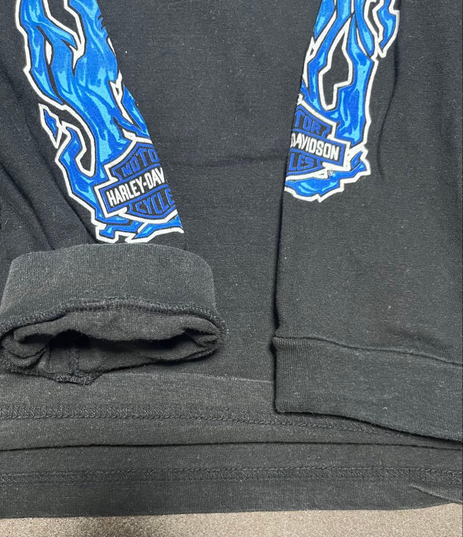 白窪　90s 00s harley davidson ハーレー ブルー