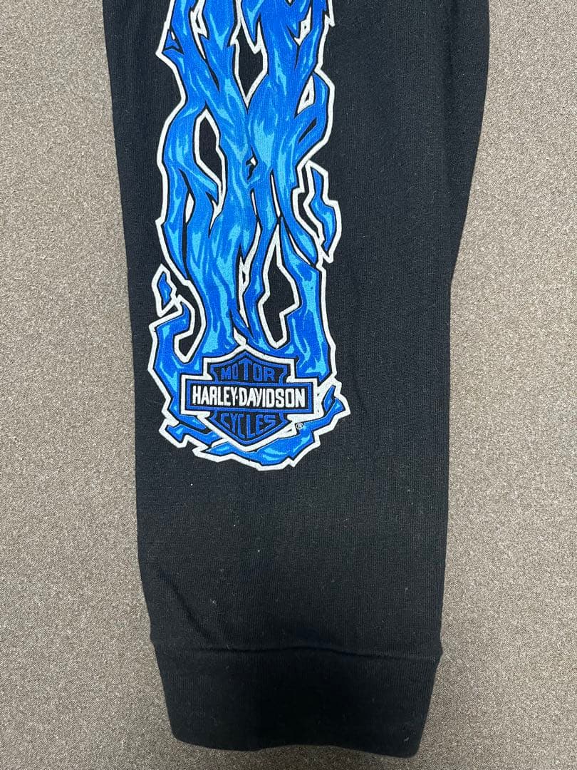 白窪　90s 00s harley davidson ハーレー ブルー